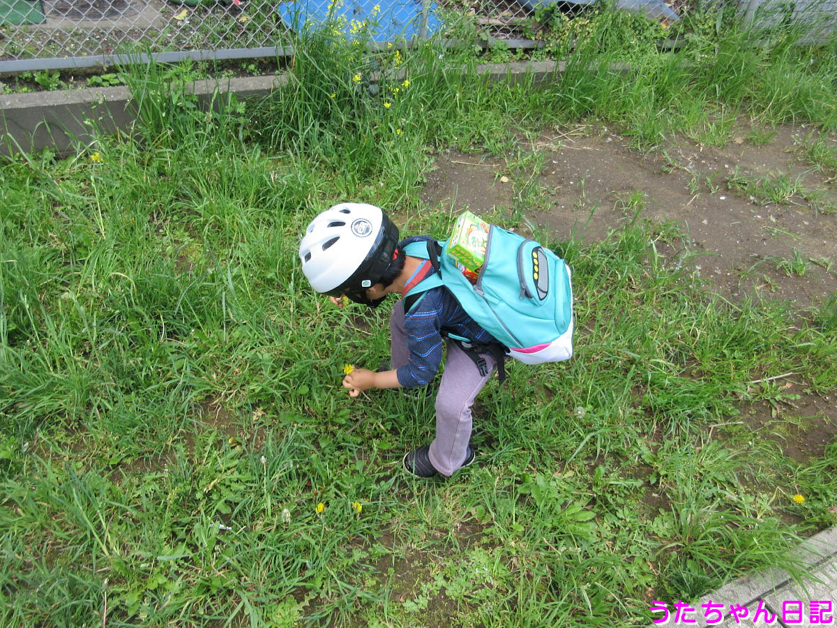 f:id:utachan0831:20200511014003j:plain