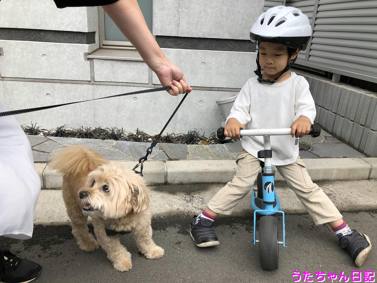 f:id:utachan0831:20200514085428j:plain