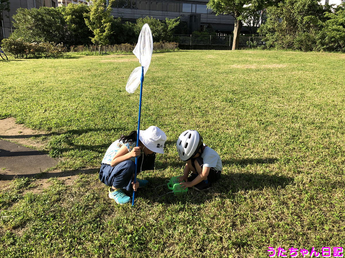 f:id:utachan0831:20200515214404j:plain