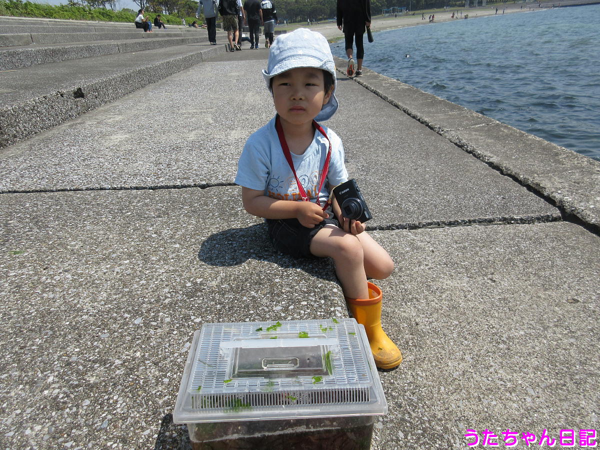 f:id:utachan0831:20200517010940j:plain