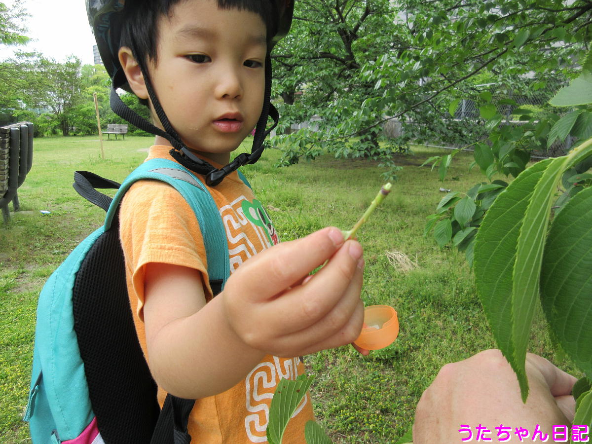 f:id:utachan0831:20200517010951j:plain