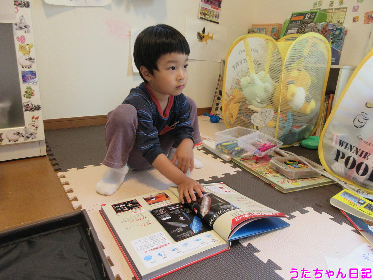 f:id:utachan0831:20200517011023j:plain