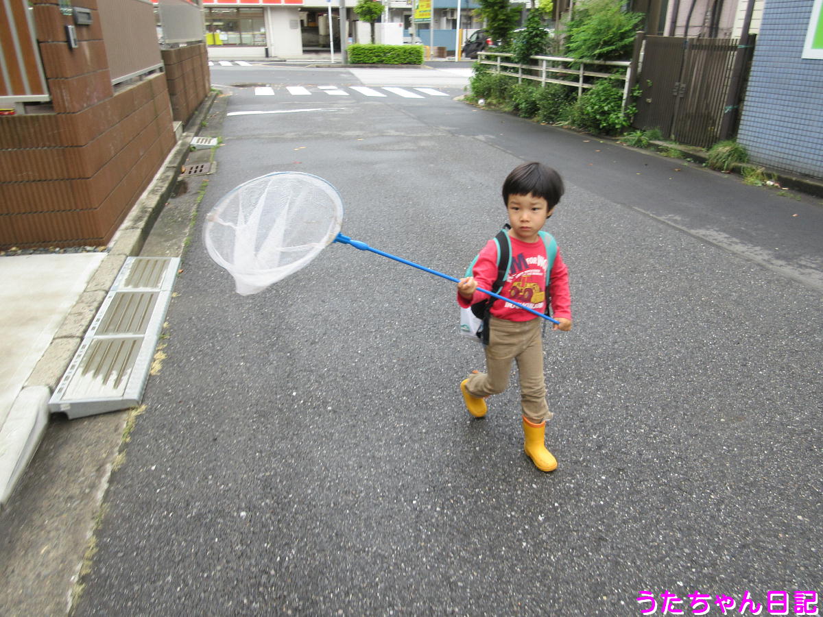 f:id:utachan0831:20200523091108j:plain