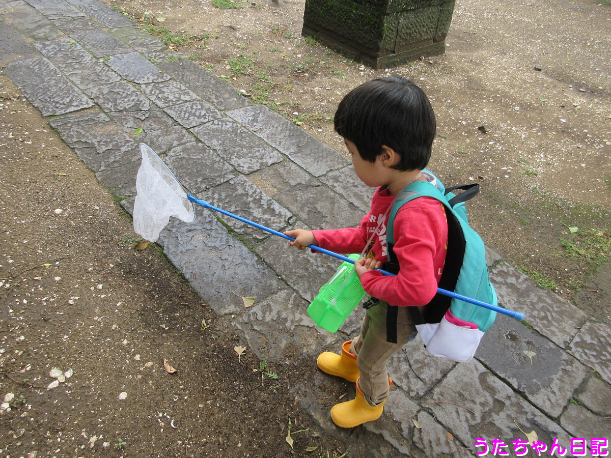 f:id:utachan0831:20200523091121j:plain