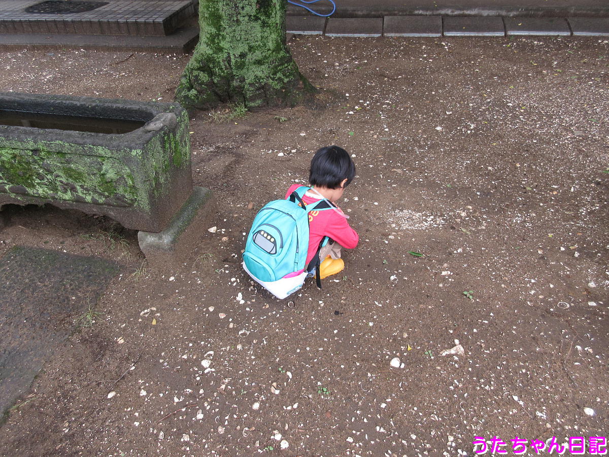 f:id:utachan0831:20200523091146j:plain