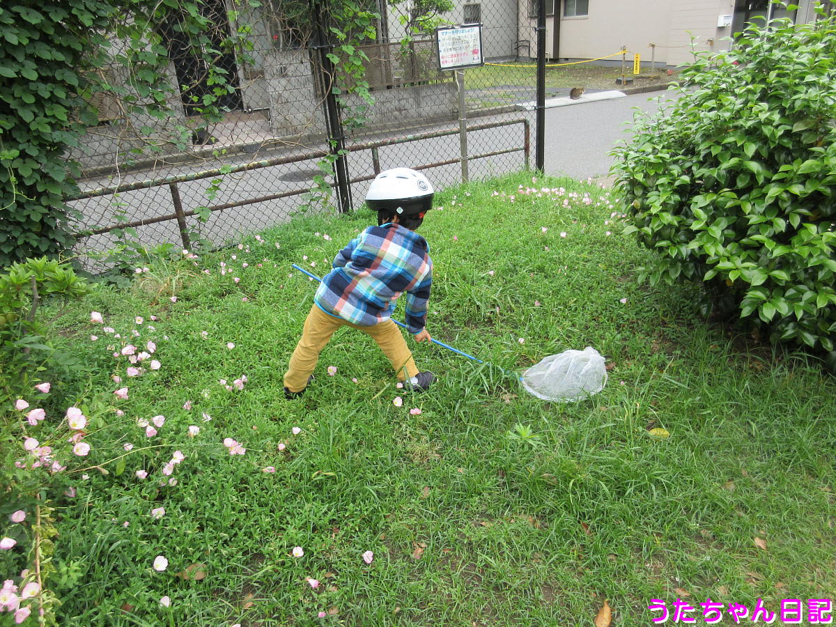 f:id:utachan0831:20200524223200j:plain