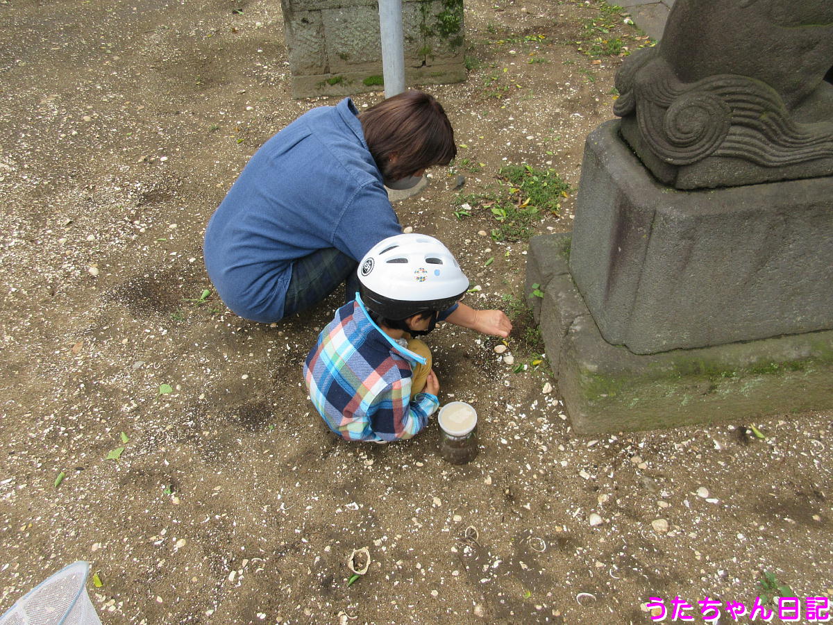 f:id:utachan0831:20200524223219j:plain