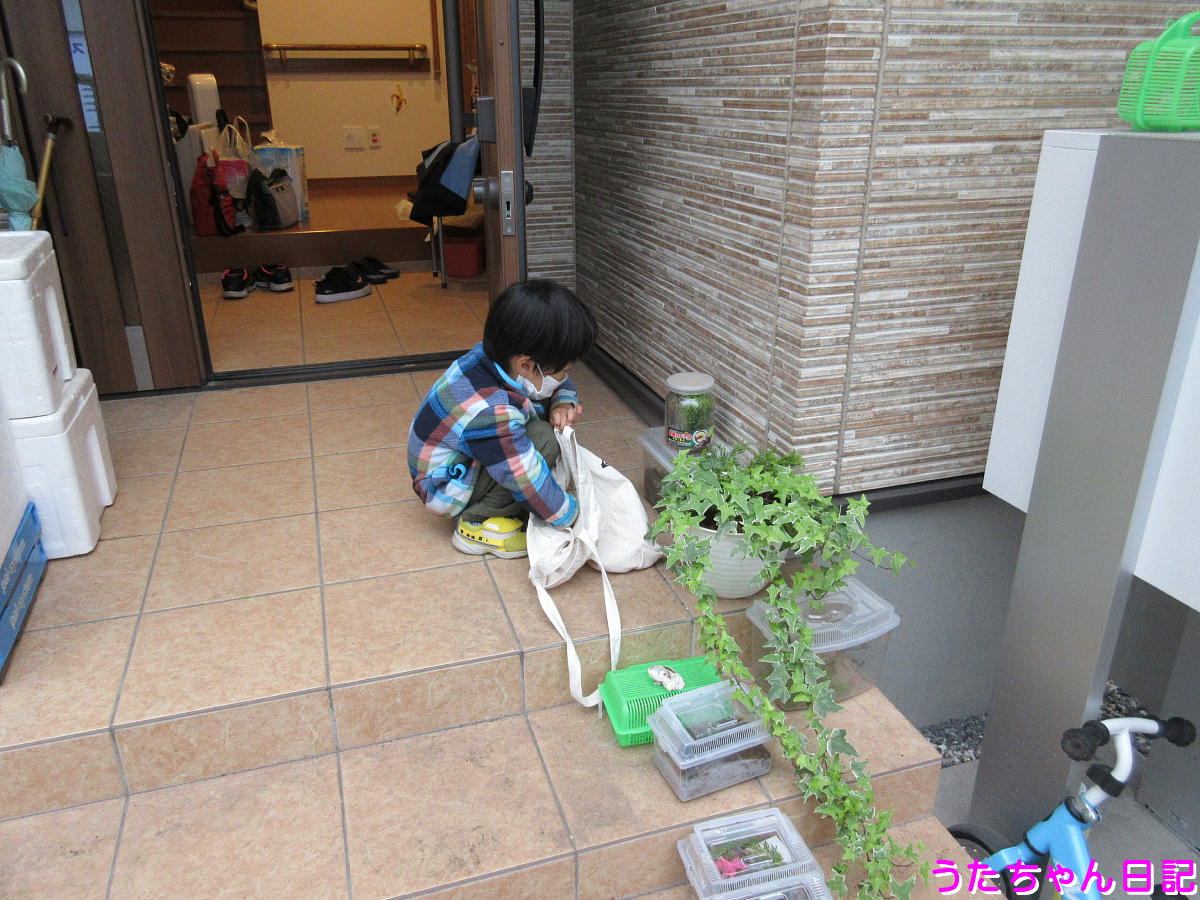 f:id:utachan0831:20200525143835j:plain