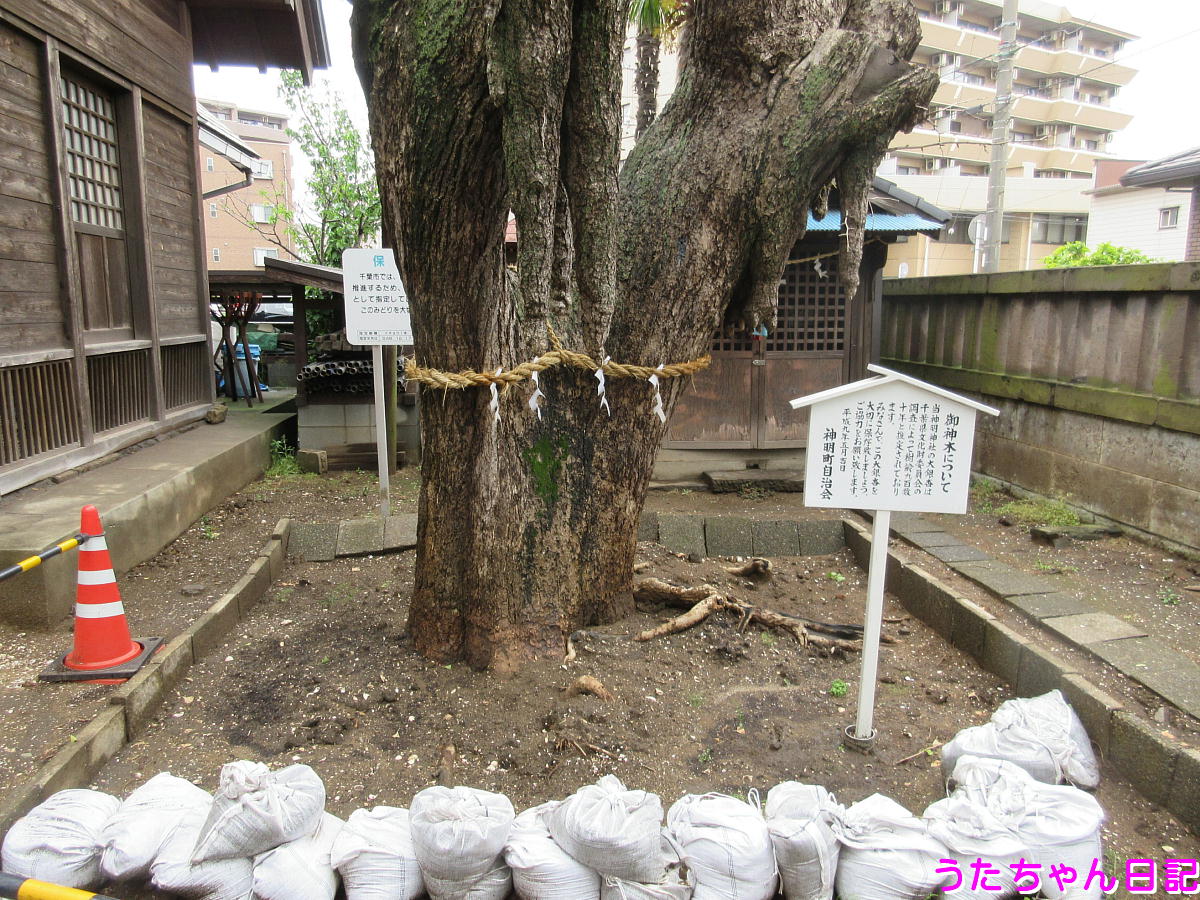 f:id:utachan0831:20200525221242j:plain f:id:utachan0831:20200525221242j:plain