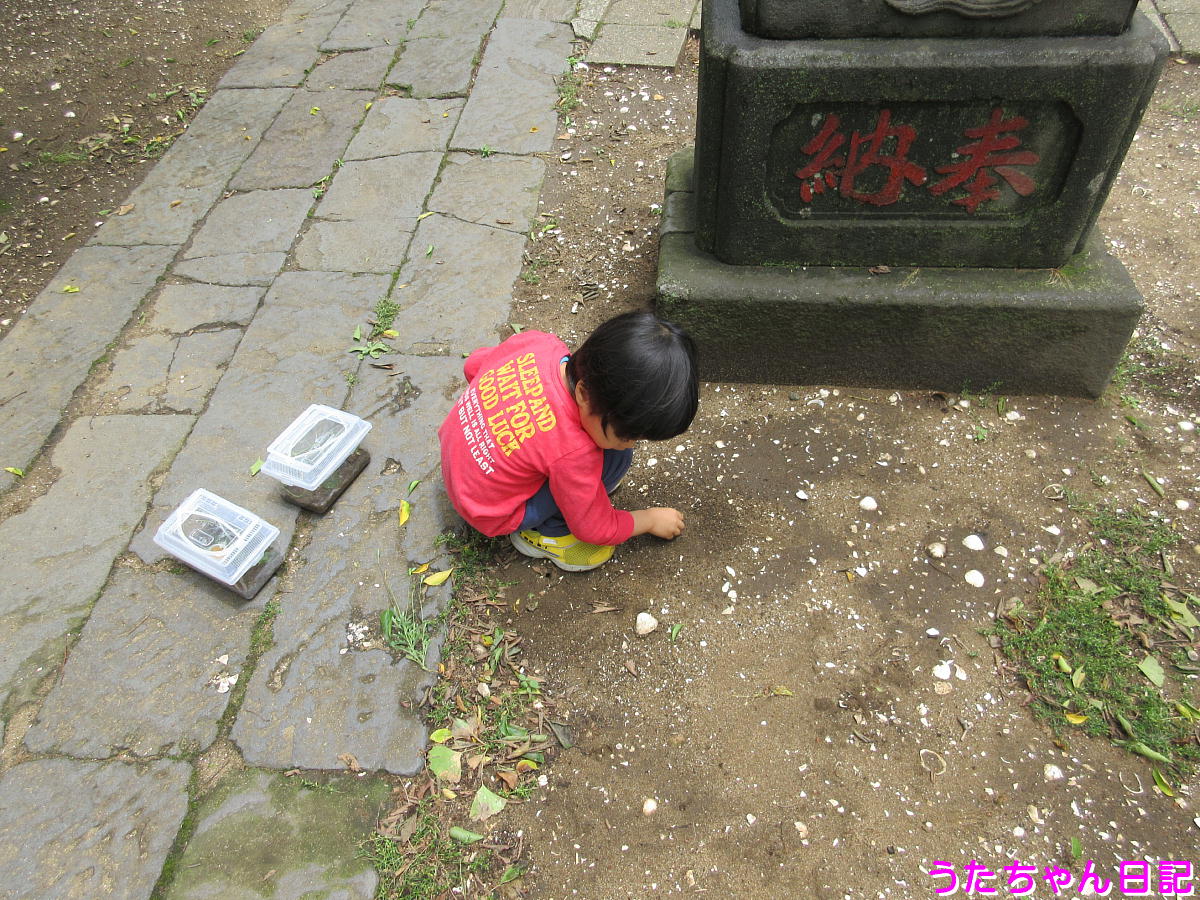 f:id:utachan0831:20200527120518j:plain
