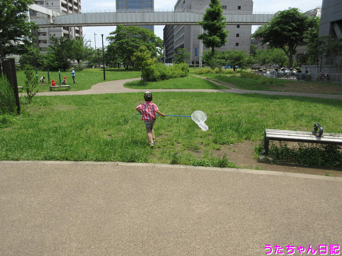 f:id:utachan0831:20200529101125j:plain f:id:utachan0831:20200529101125j:plain