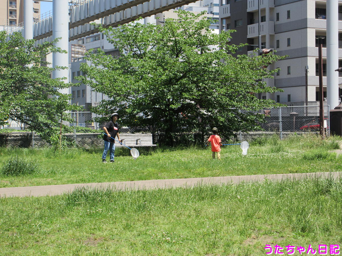 f:id:utachan0831:20200530233643j:plain