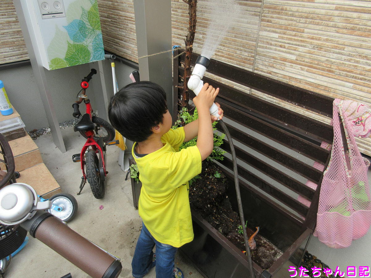 f:id:utachan0831:20200531124845j:plain f:id:utachan0831:20200531124845j:plain