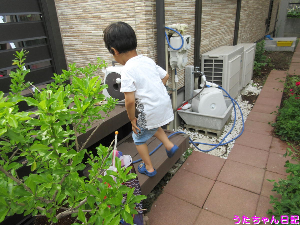 f:id:utachan0831:20200531124857j:plain f:id:utachan0831:20200531124857j:plain