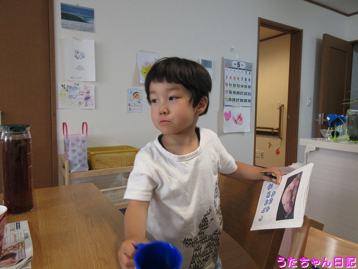 f:id:utachan0831:20200531124926j:plain f:id:utachan0831:20200531124926j:plain