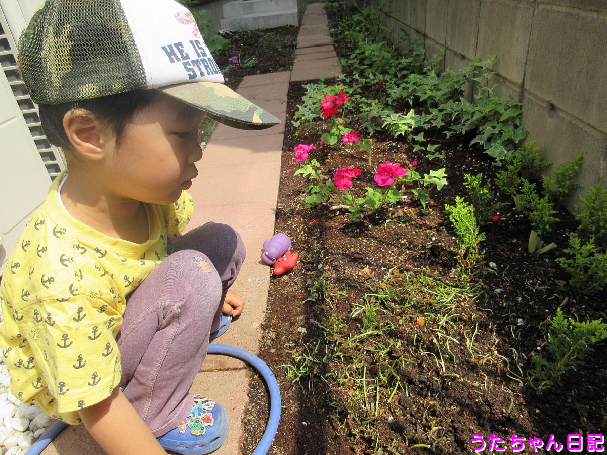 f:id:utachan0831:20200601133152j:plain