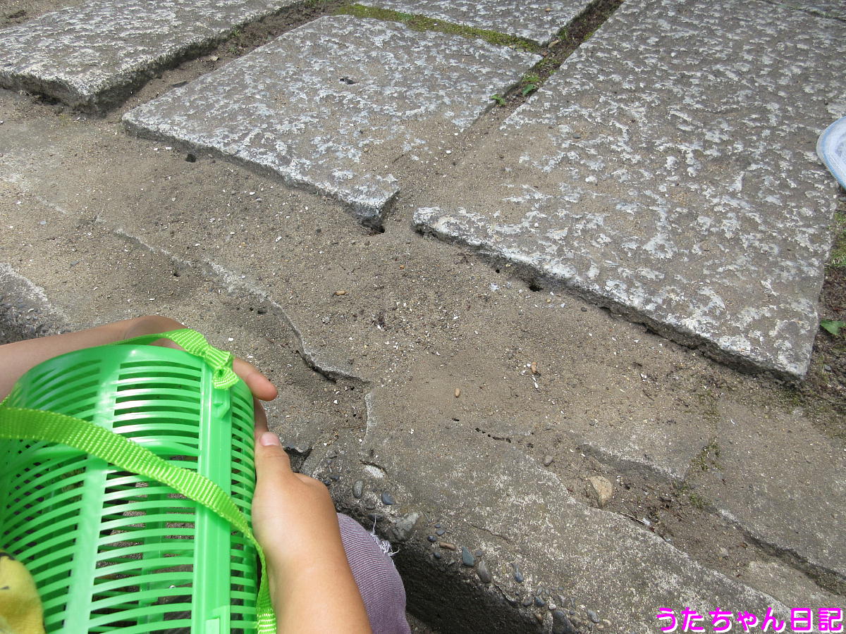 f:id:utachan0831:20200601133204j:plain