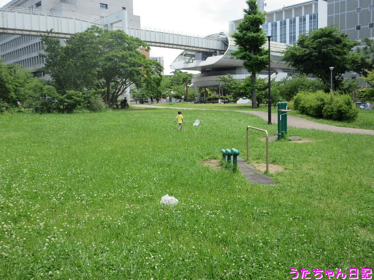 f:id:utachan0831:20200601133214j:plain