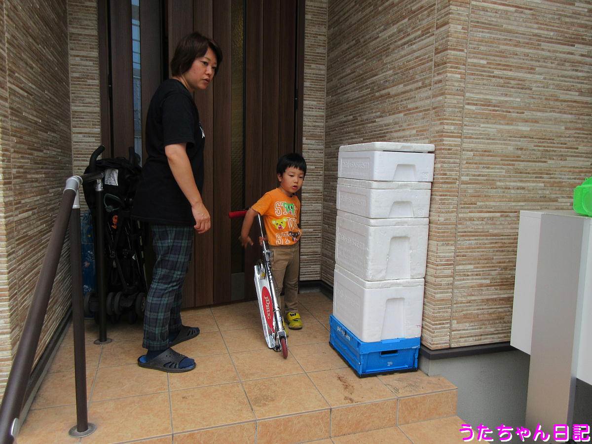 f:id:utachan0831:20200603215942j:plain