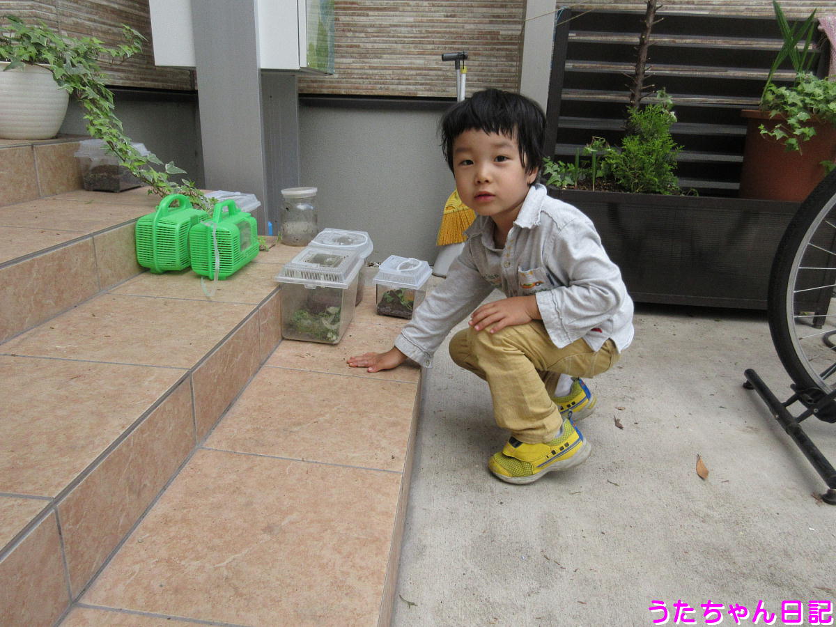 f:id:utachan0831:20200608095724j:plain