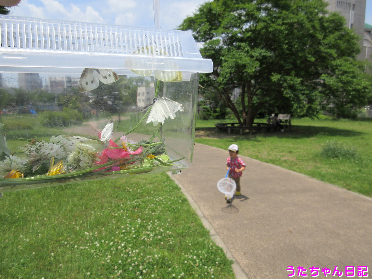 f:id:utachan0831:20200608095822j:plain