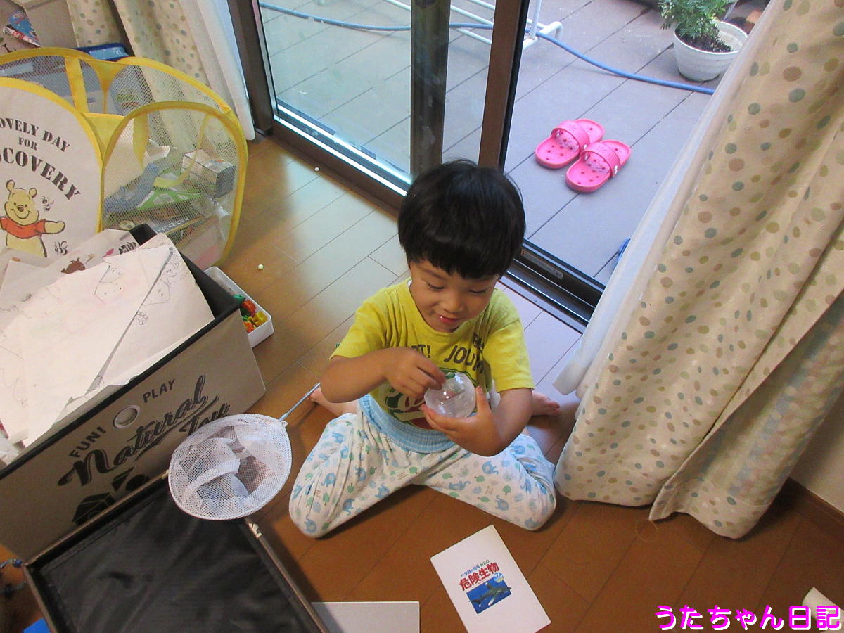 f:id:utachan0831:20200612085409j:plain