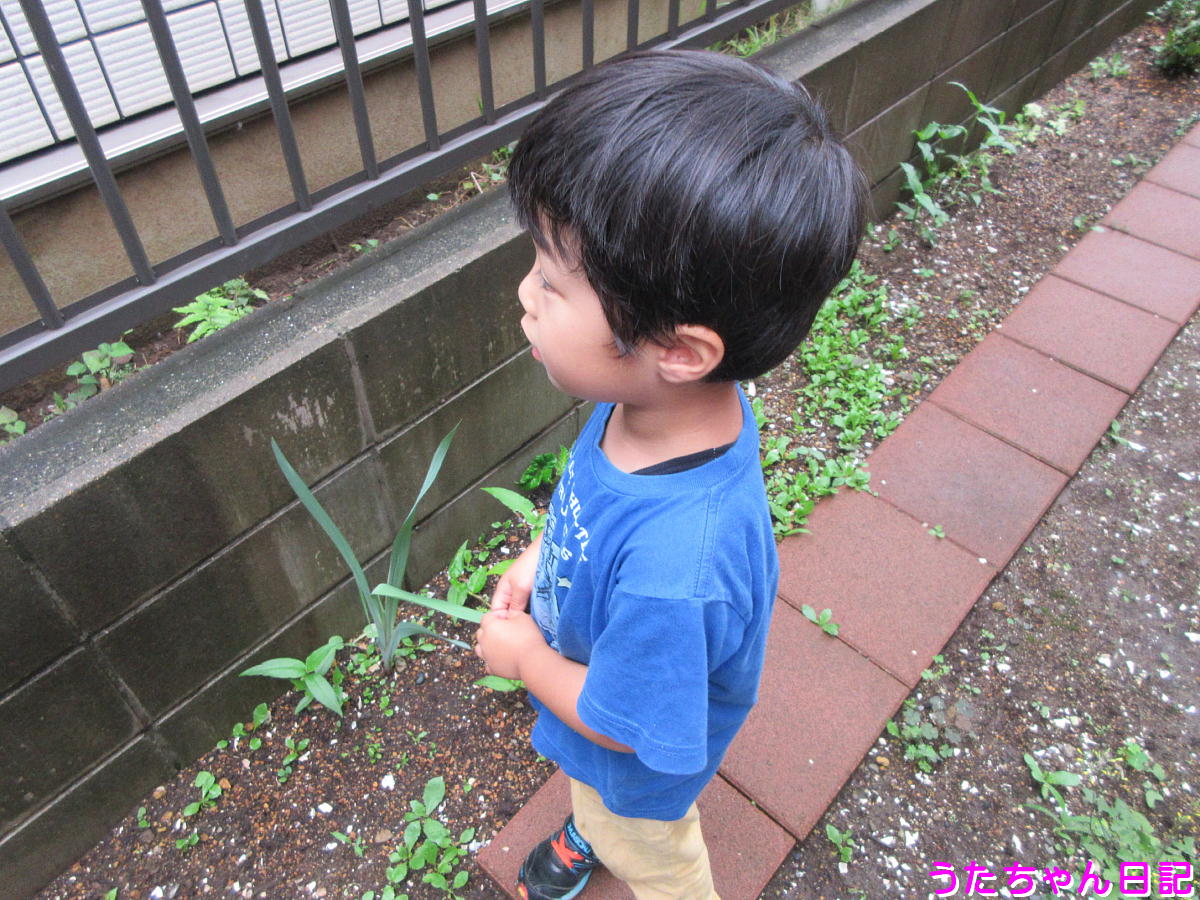 f:id:utachan0831:20200618091238j:plain