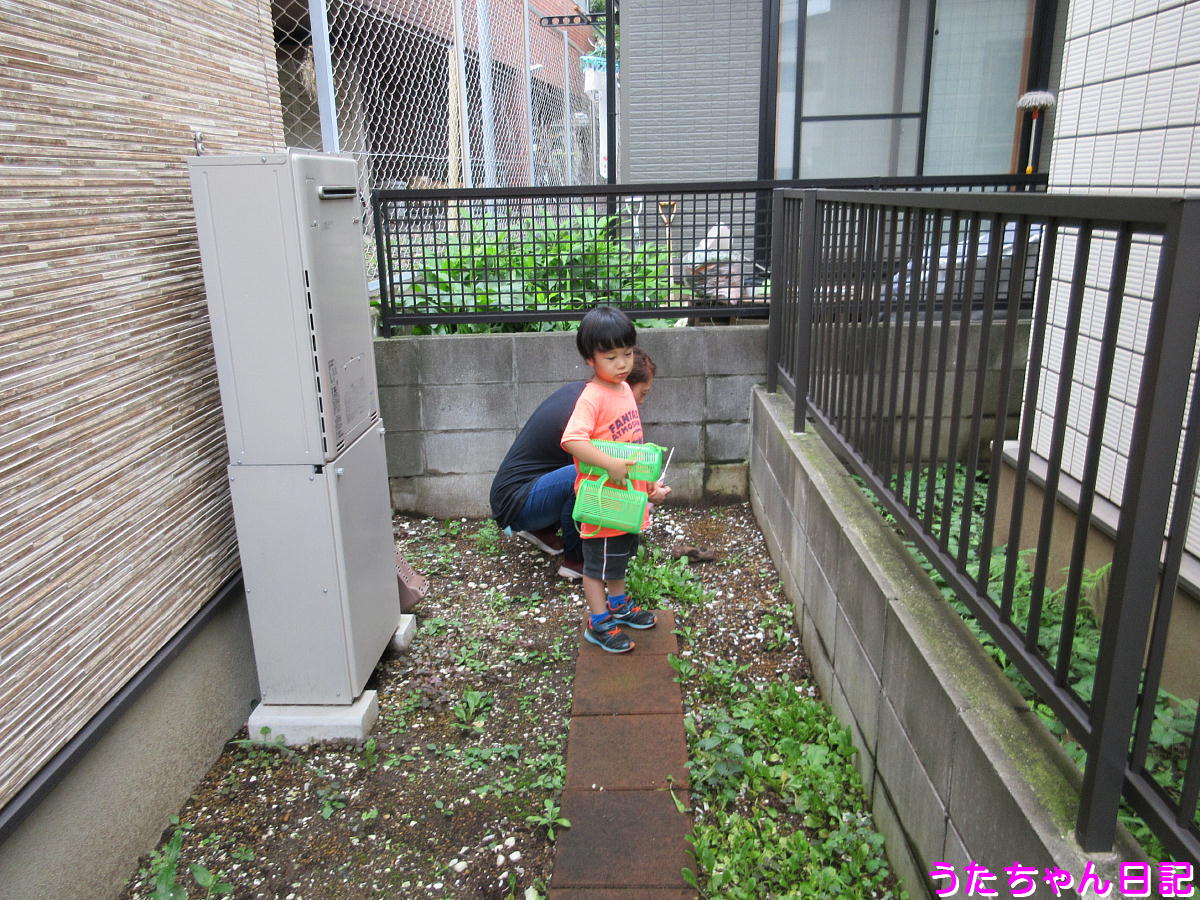 f:id:utachan0831:20200726222304j:plain