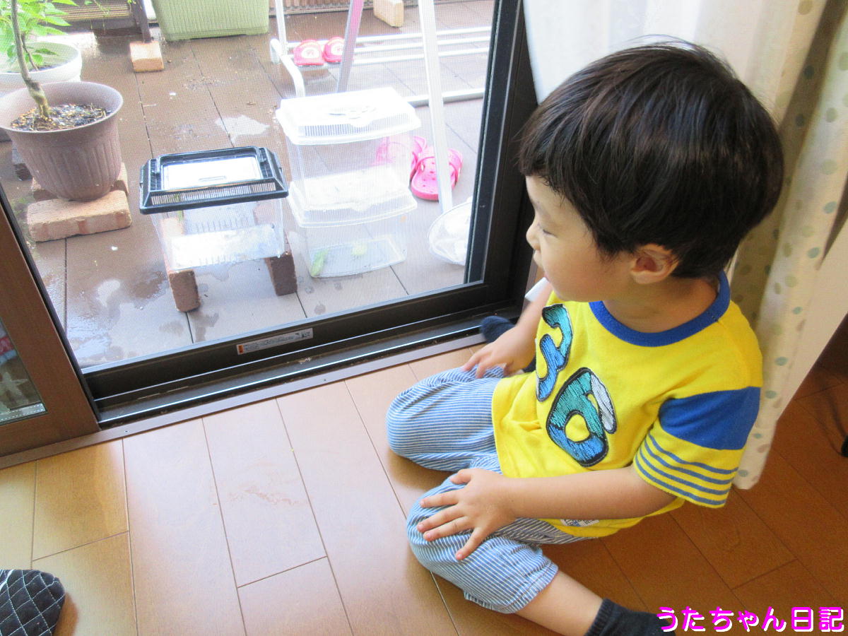 f:id:utachan0831:20200821101934j:plain