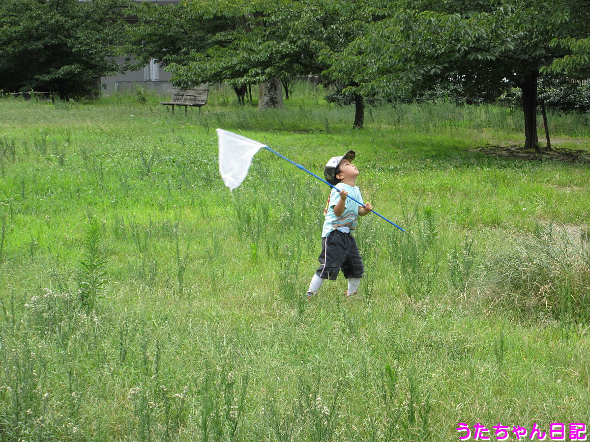 f:id:utachan0831:20200822215410j:plain