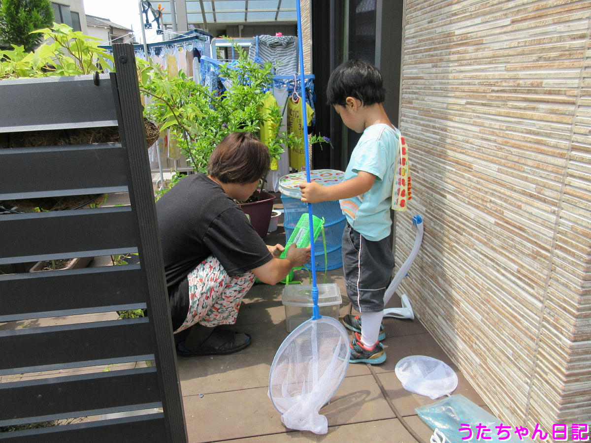 f:id:utachan0831:20200822215434j:plain