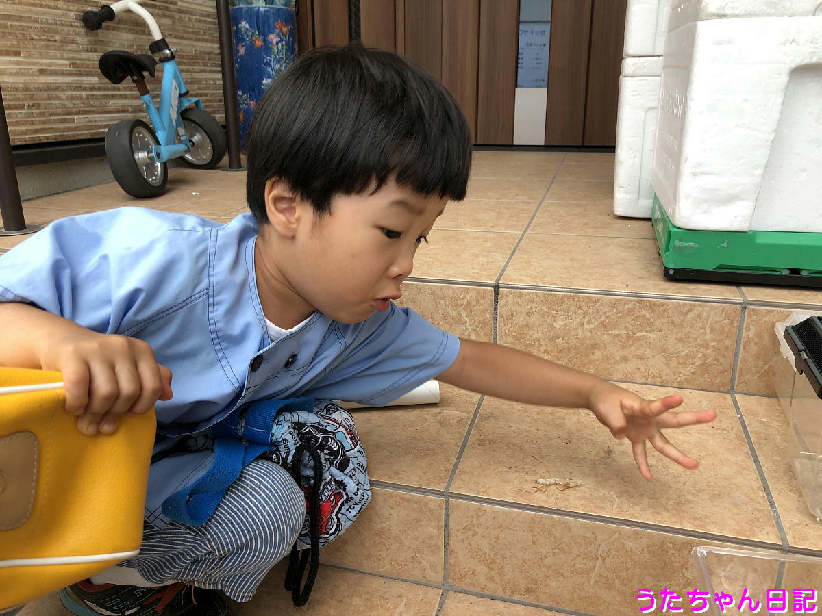 f:id:utachan0831:20200823230209j:plain