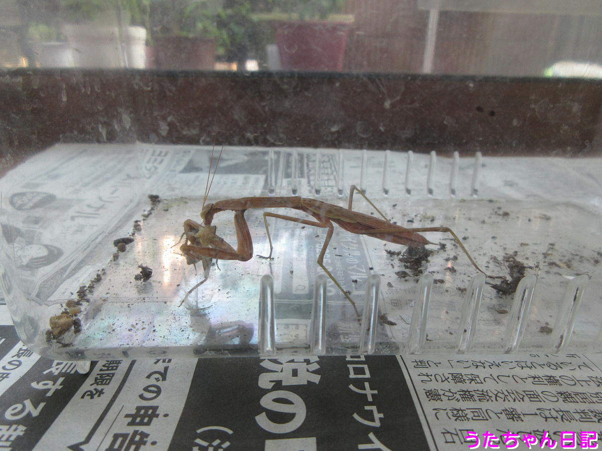 f:id:utachan0831:20200824230413j:plain