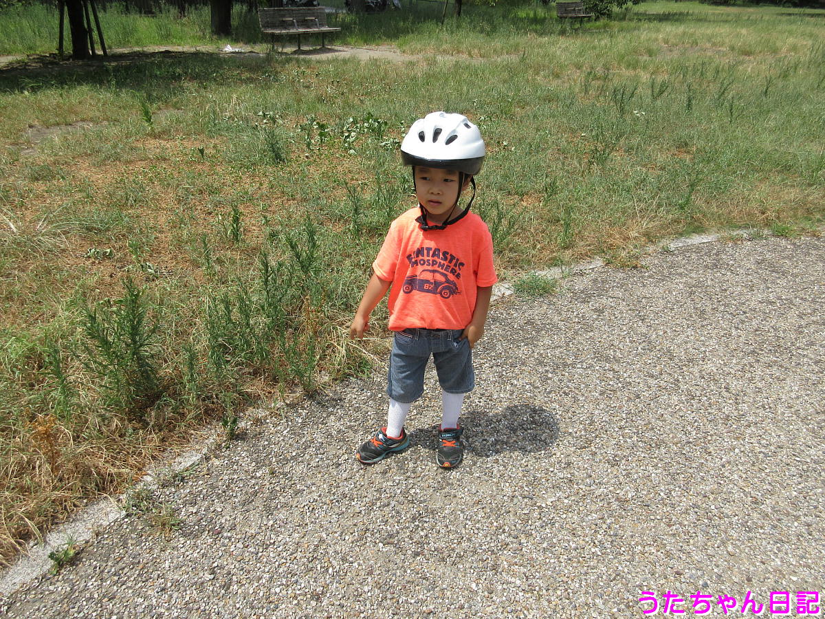 f:id:utachan0831:20200826210516j:plain