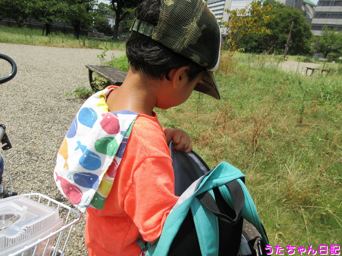 f:id:utachan0831:20200826210541j:plain