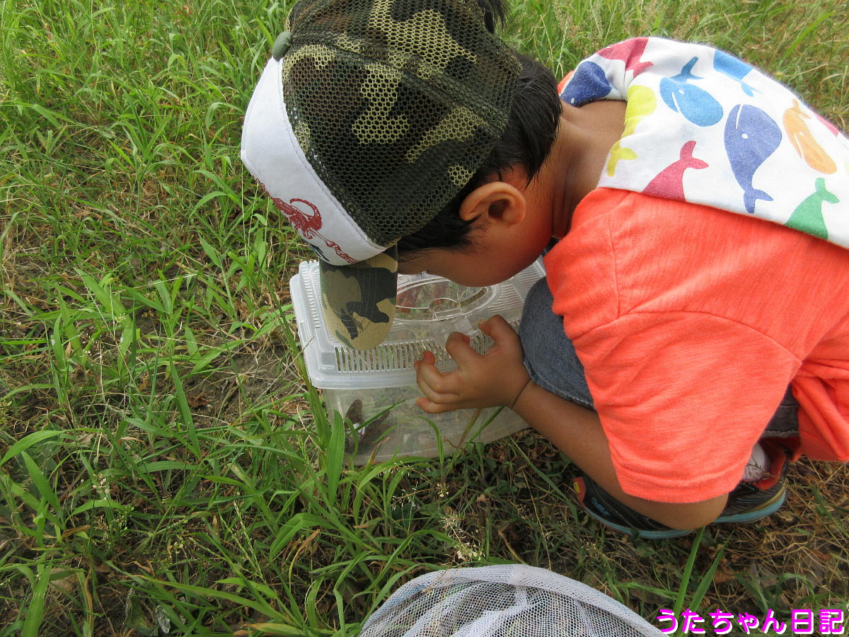 f:id:utachan0831:20200826210552j:plain