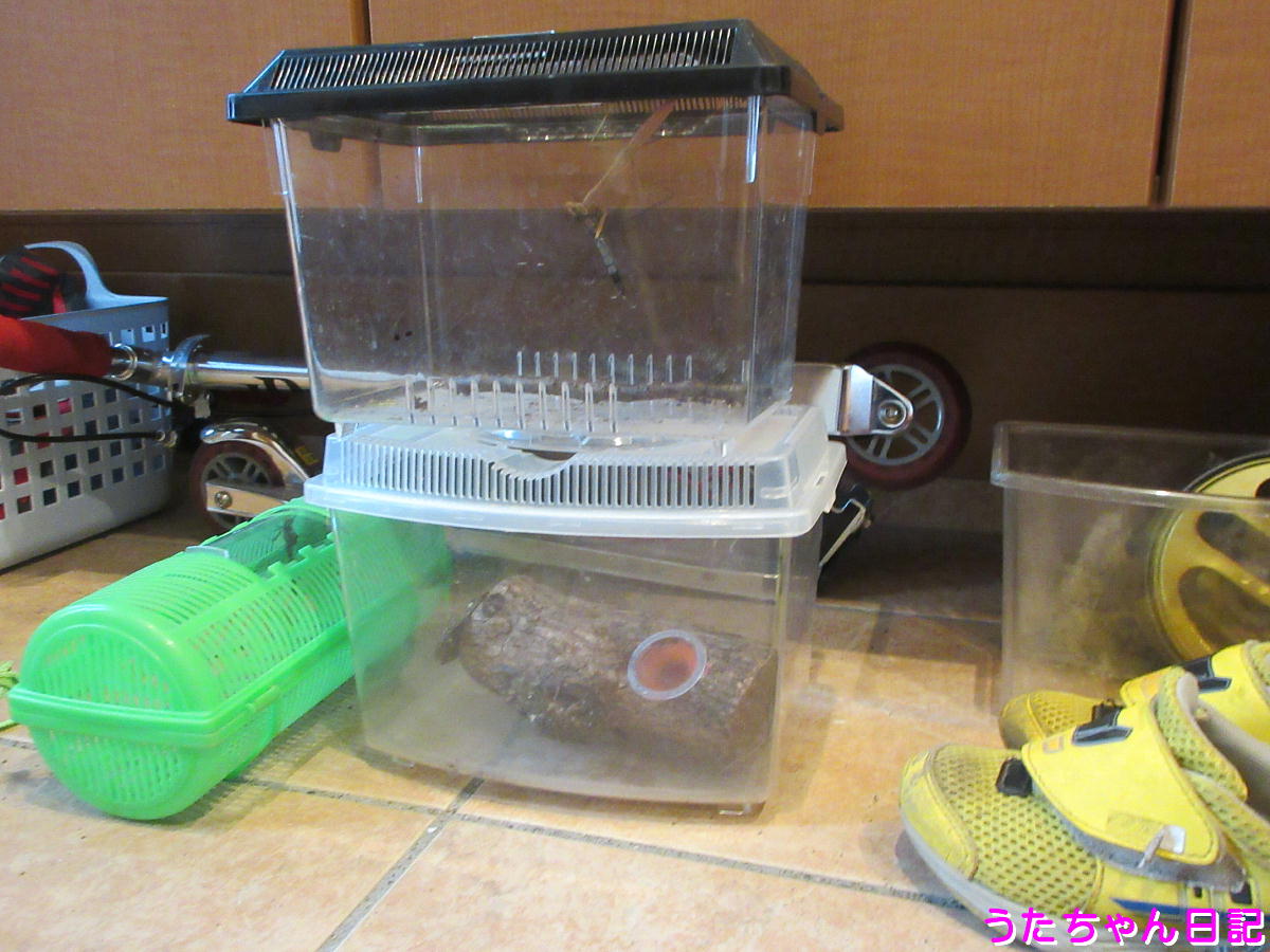 f:id:utachan0831:20200826210638j:plain