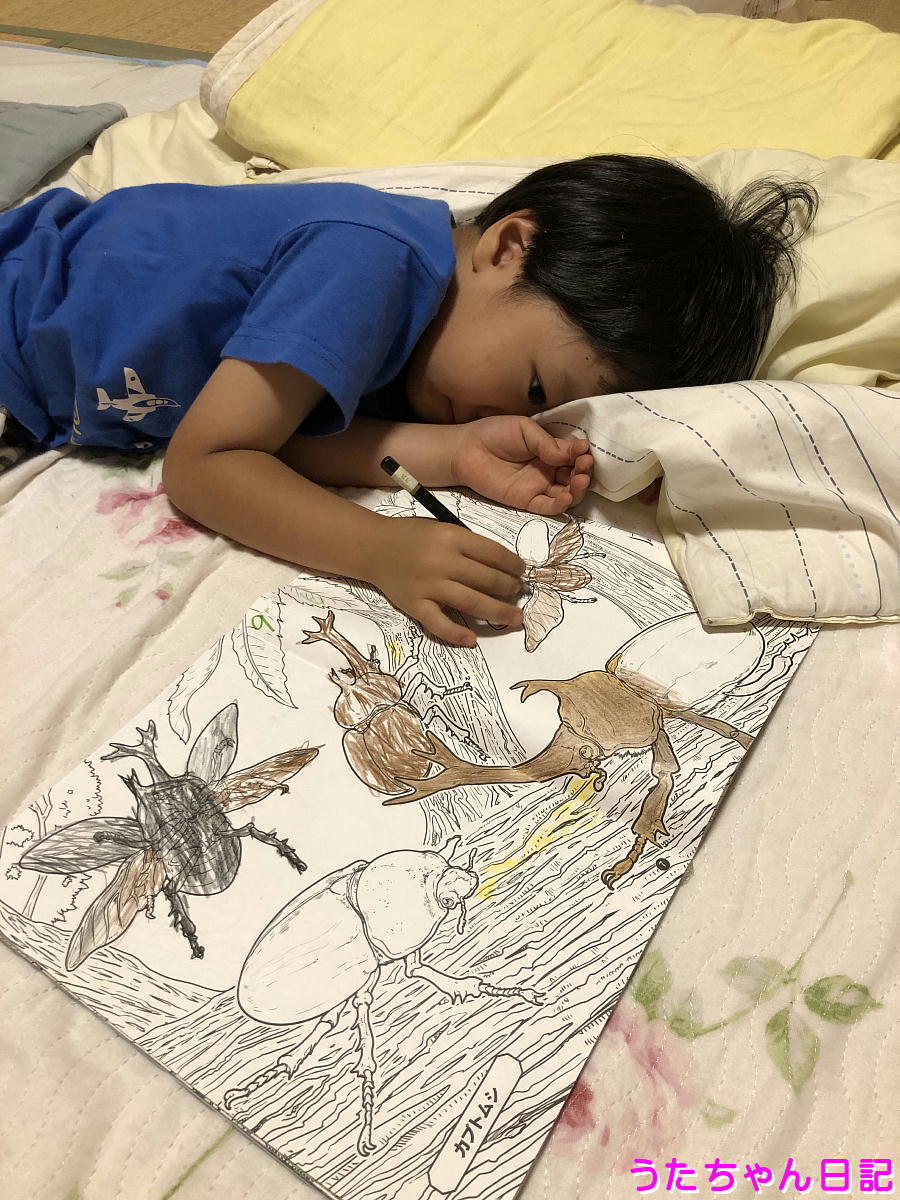 f:id:utachan0831:20200826235428j:plain f:id:utachan0831:20200826235428j:plain