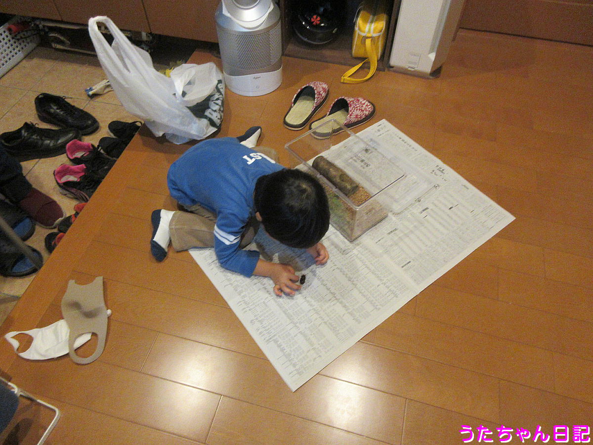 f:id:utachan0831:20201006114515j:plain