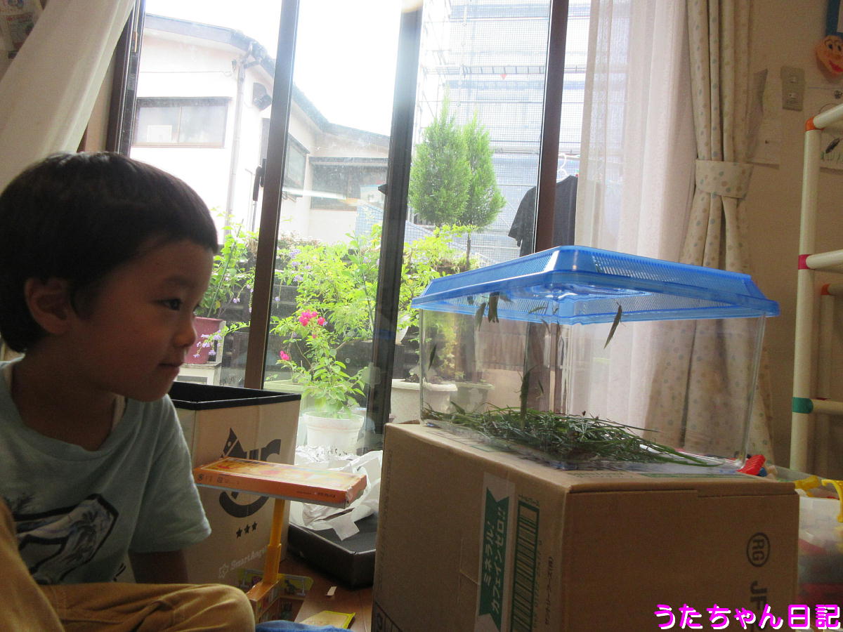 f:id:utachan0831:20201008091335j:plain