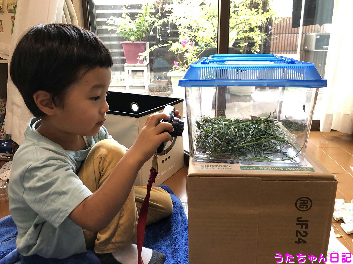 f:id:utachan0831:20201008091431j:plain