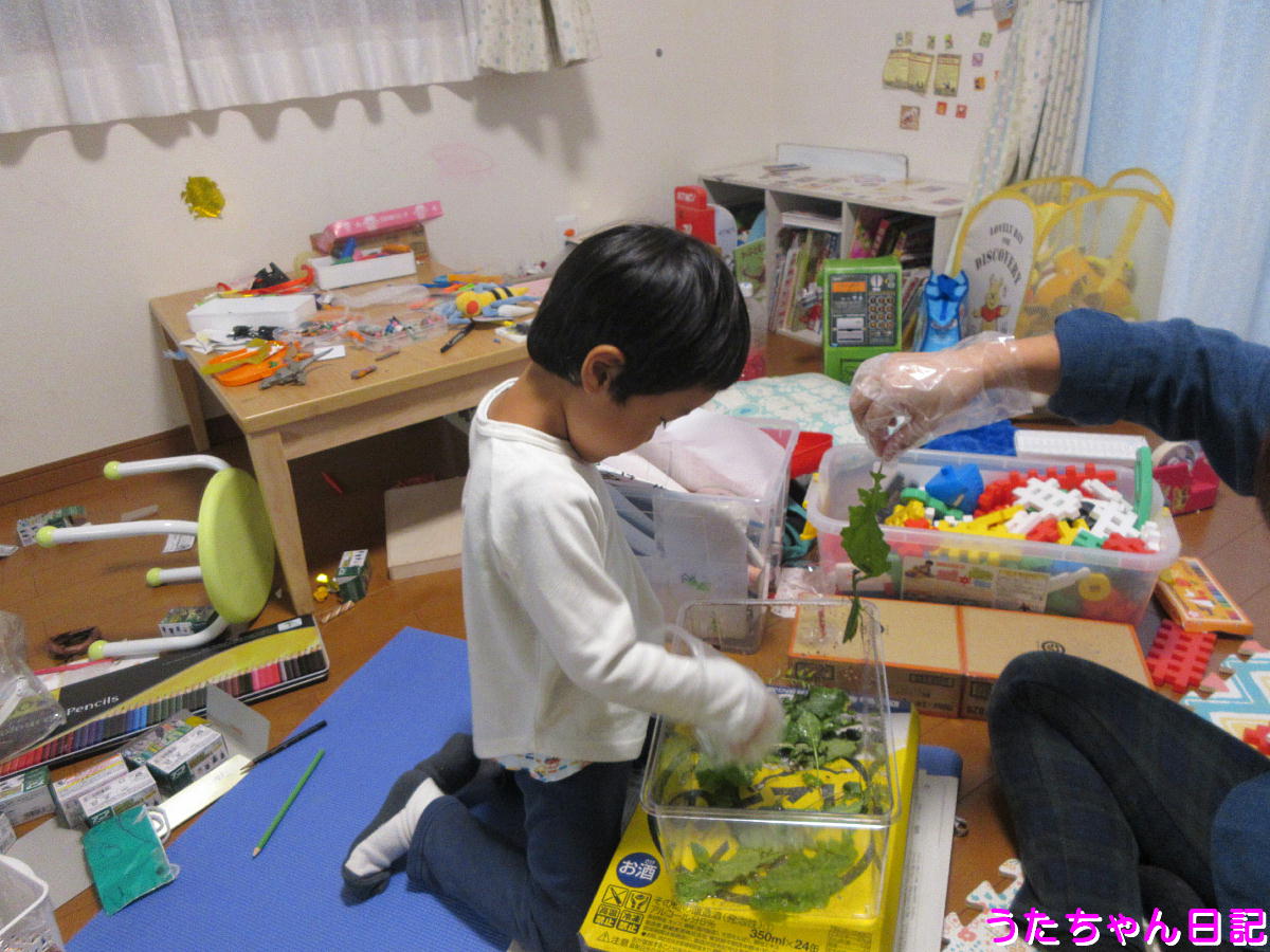 f:id:utachan0831:20201011205419j:plain f:id:utachan0831:20201011205419j:plain