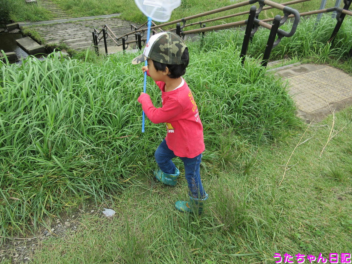 f:id:utachan0831:20201014015917j:plain f:id:utachan0831:20201014015917j:plain