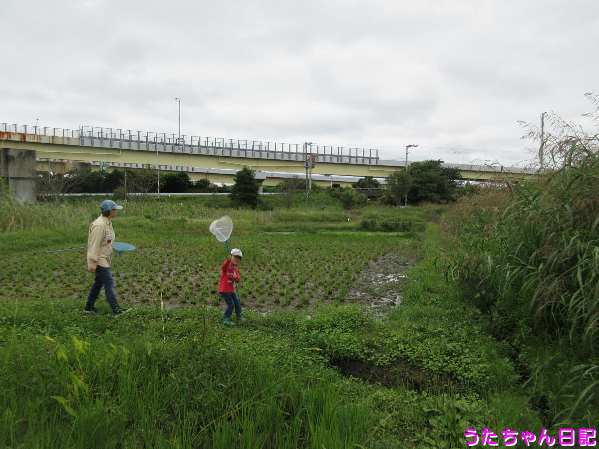 f:id:utachan0831:20201014015927j:plain f:id:utachan0831:20201014015927j:plain