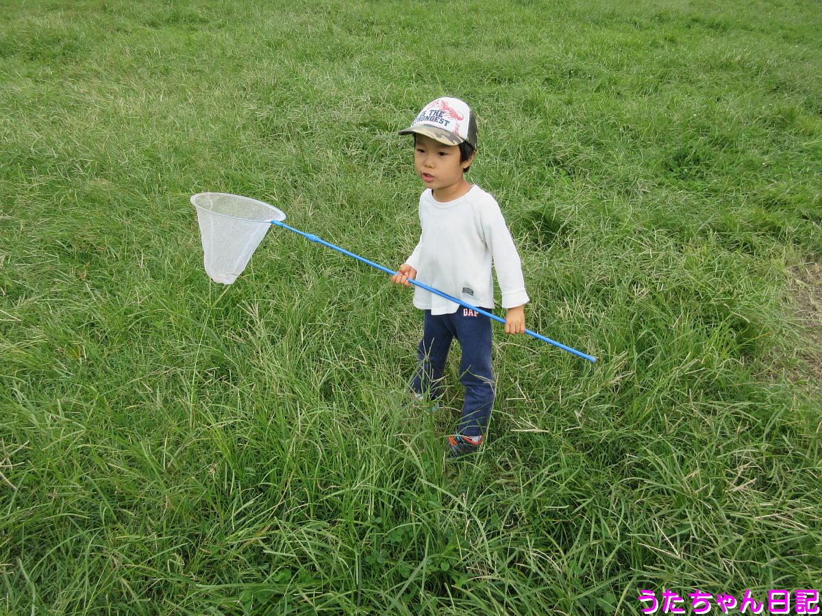 f:id:utachan0831:20201021232825j:plain f:id:utachan0831:20201021232825j:plain