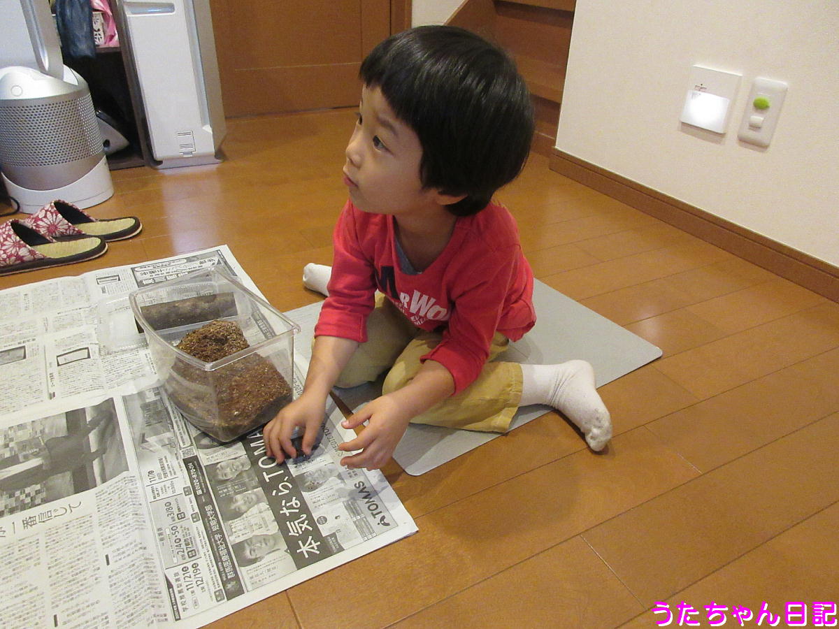 f:id:utachan0831:20201021234525j:plain f:id:utachan0831:20201021234525j:plain