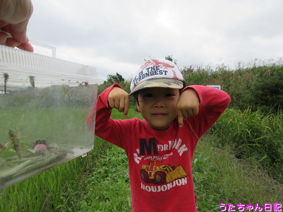 f:id:utachan0831:20201030093315j:plain f:id:utachan0831:20201030093315j:plain