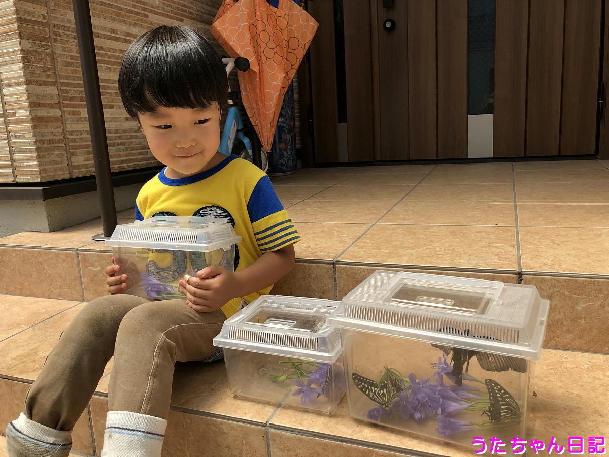 f:id:utachan0831:20201104221832j:plain