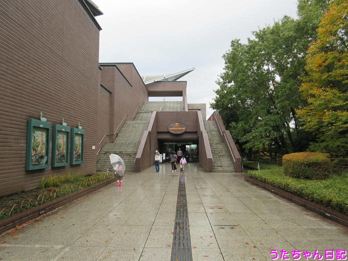 f:id:utachan0831:20201122214829j:plain