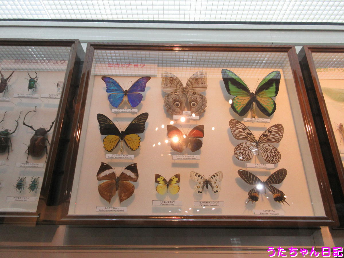 f:id:utachan0831:20201122215300j:plain